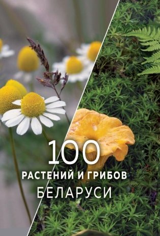 100 растений и грибов Беларуси / [В. Н. Лебедько, И. П. Сысой, С. С. Савчук и др.] ; Национальная академия наук Беларуси. Институт экспериментальной ботаники им. В. Ф. Купревича ; [научный редактор Д. Г. Груммо ; фото: В. Н. Лебедько, И. П. Сысой, С. С. Савчук и др.]. - Текст : непосредственный. - Минск : Беларусь, 2026. - 206, [1] с.