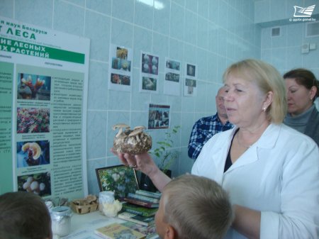 Экскурсия в Институт леса НАН Беларуси