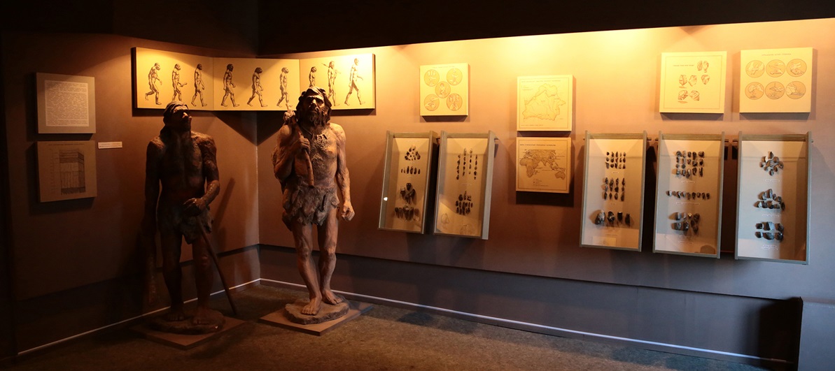 Экспозиция «Археология и древняя история Могилевщины»