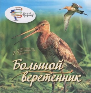 Горошко, З. А. Чёрный аист : птица года Беларуси / З. А. Горошко, П. А. Пакуль ; [фото: З. А. Горошко, П. А. Пакуль, А. Л. Феоктистов]. - Текст : непосредственный. - Минск : Беларусь, 2026. - 45, [2] с.. - (Маленький профессор)