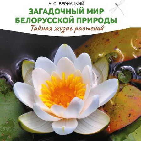 «А вы знаете, что?..» Выпуск 17