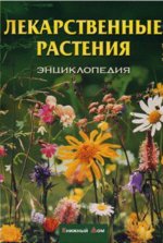 Любимая трава богов и лекарей