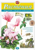 Любимая трава богов и лекарей