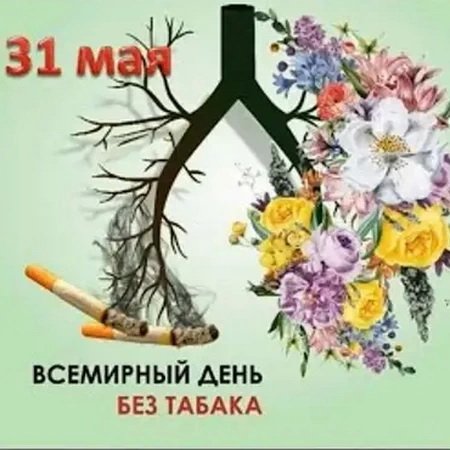 31 мая – Всемирный день без табака