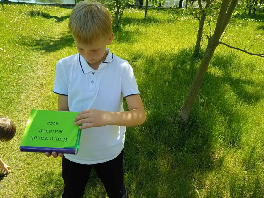 «Жители каштановой аллеи»