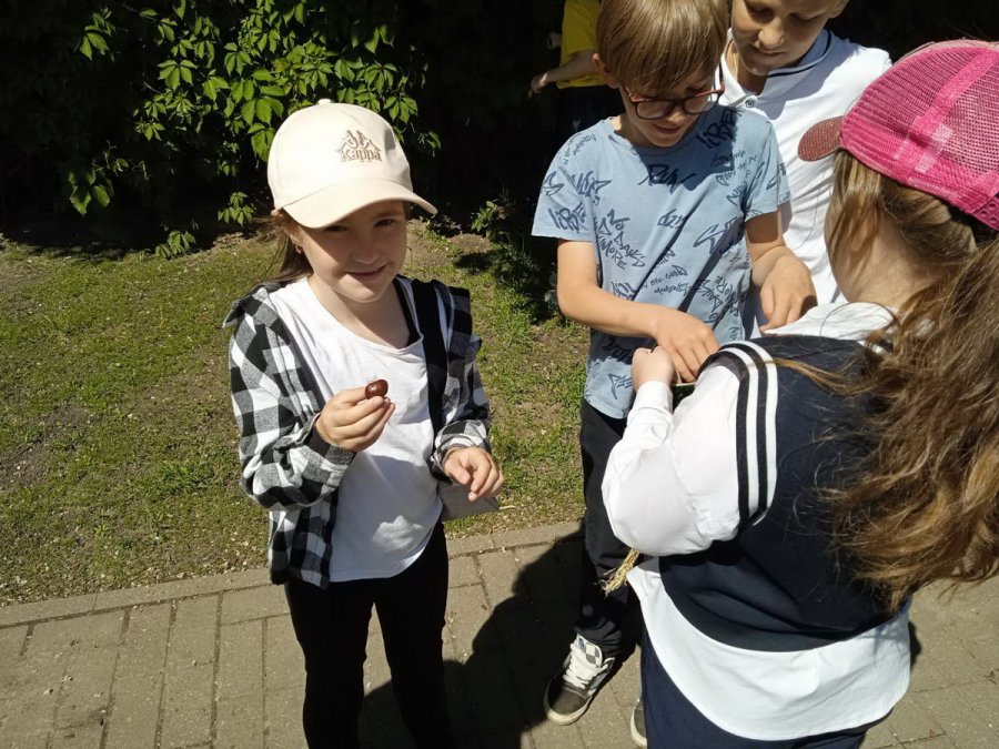 «Жители каштановой аллеи»