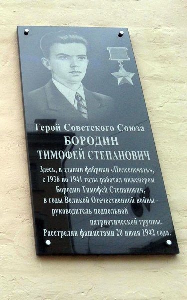 Реликвия семьи Бородиных