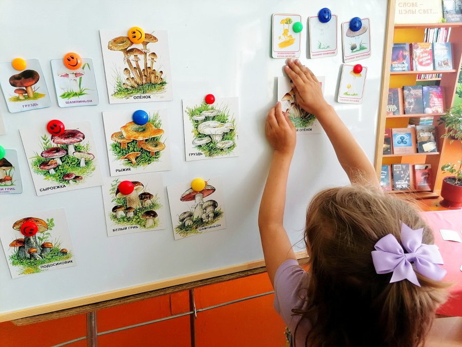 Опасности вокруг нас