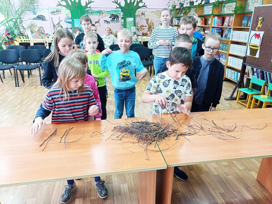 Войди в природу заботливым другом