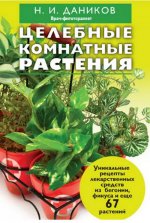 На окне в такую рань распустилася герань