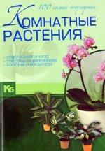 На окне в такую рань распустилася герань