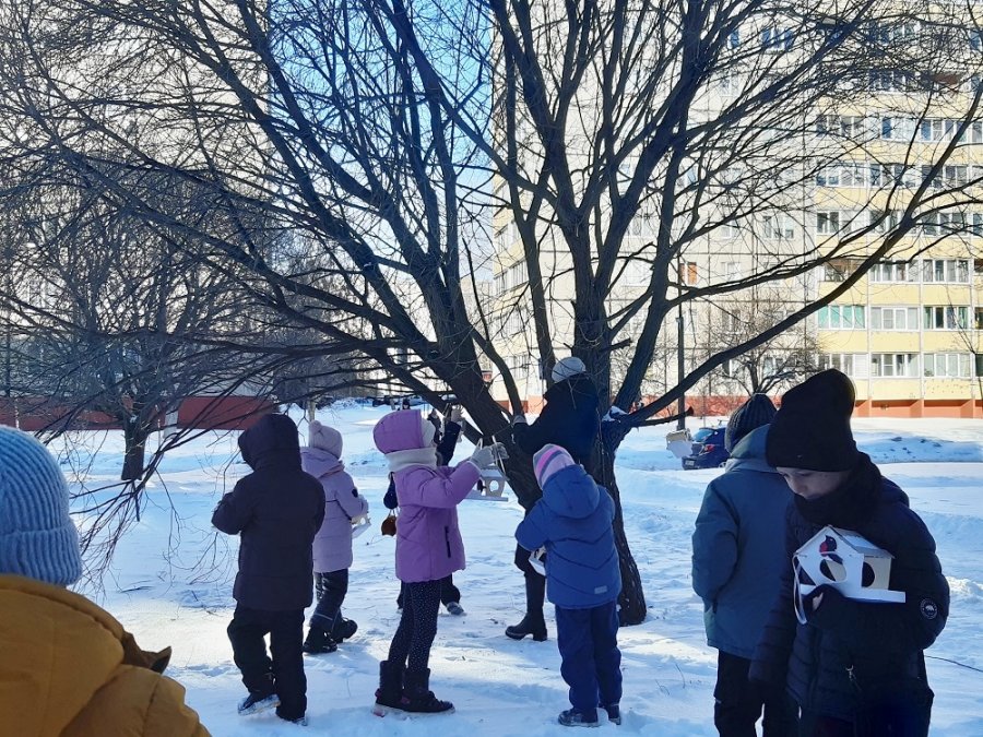 Покормите птиц зимой!