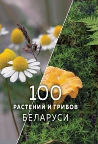 Новые книги. Июль 2026. Часть 3